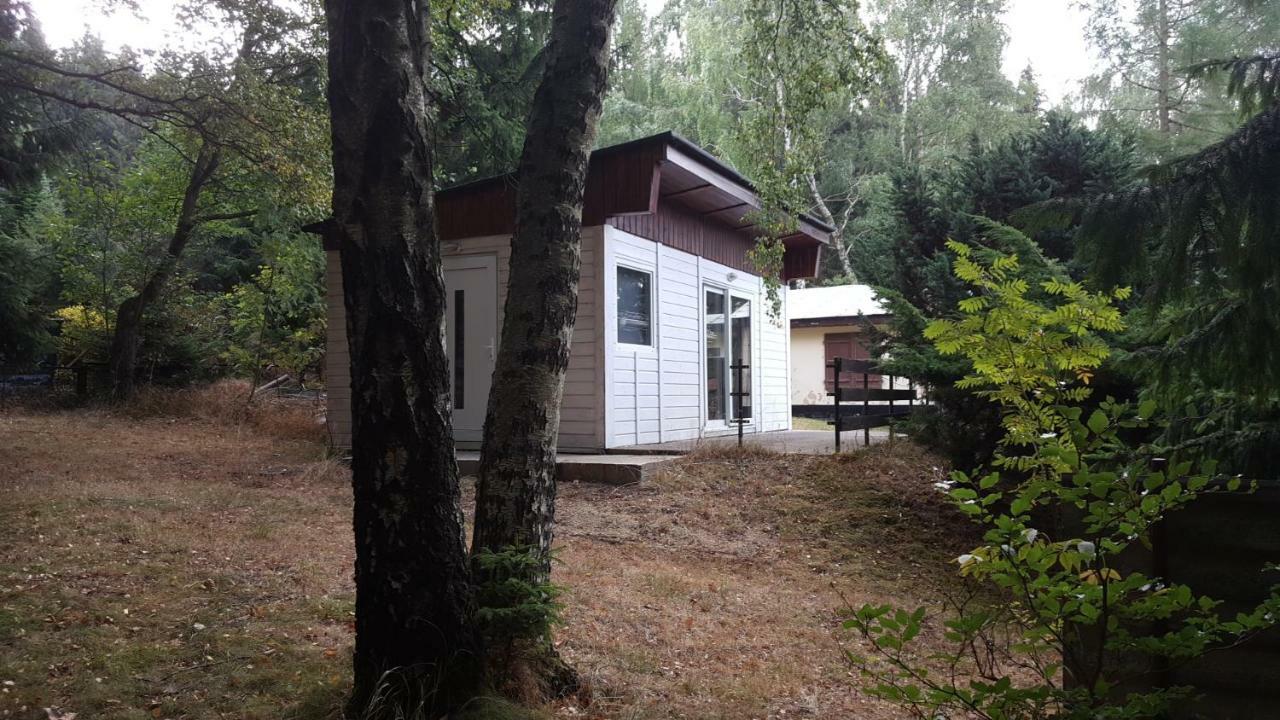 Bungalowdorf Klein Budelsdorf Altenberg Eksteriør billede